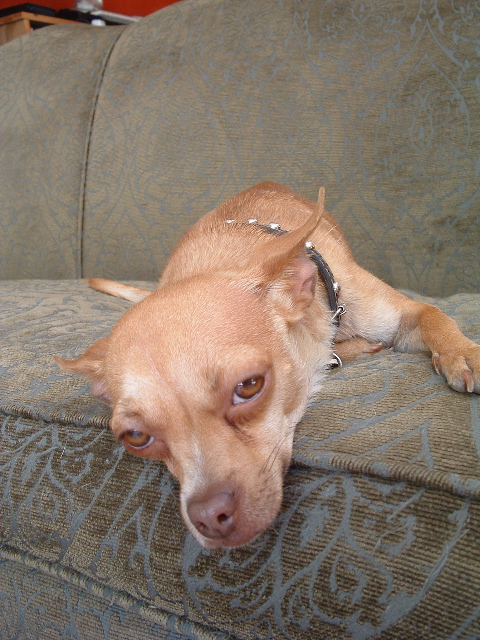 DSCF0060_1.jpg