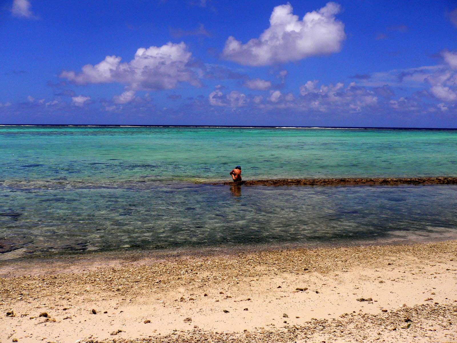 P1000211.JPG