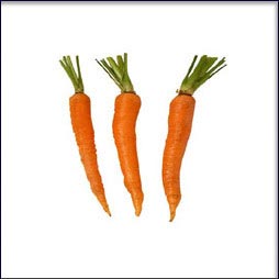 carrot.jpg