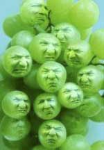 grapes01a.jpg