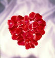 heartd.jpg